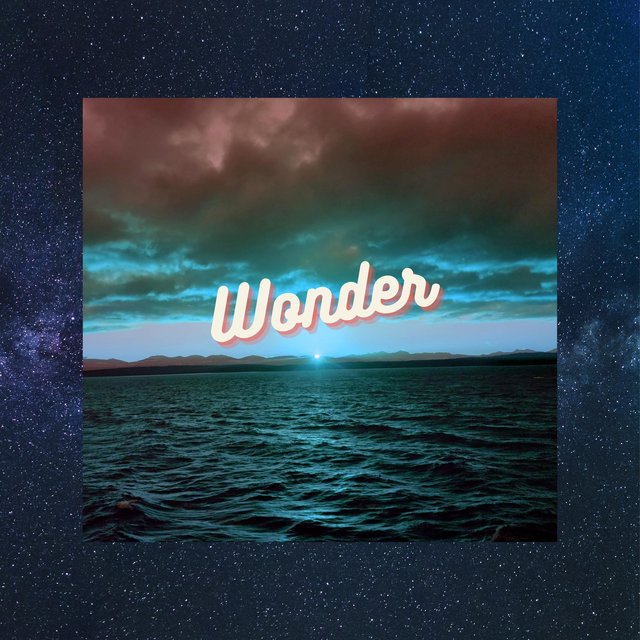 Wonder