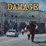 Damage