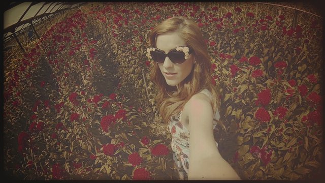 Flores (Videoclipe)