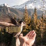 In Harmony