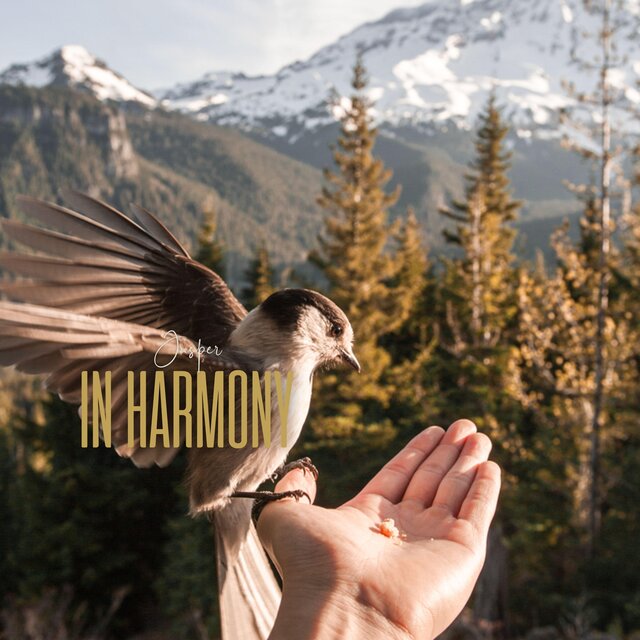 In Harmony