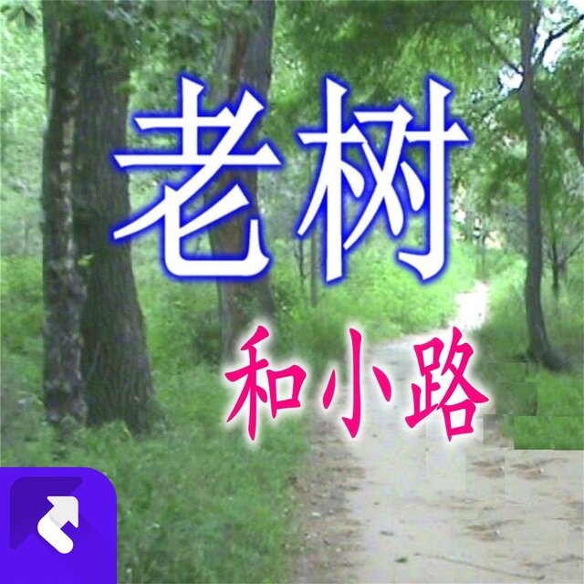 老樹和小路