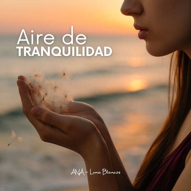 Aire de Tranquilidad