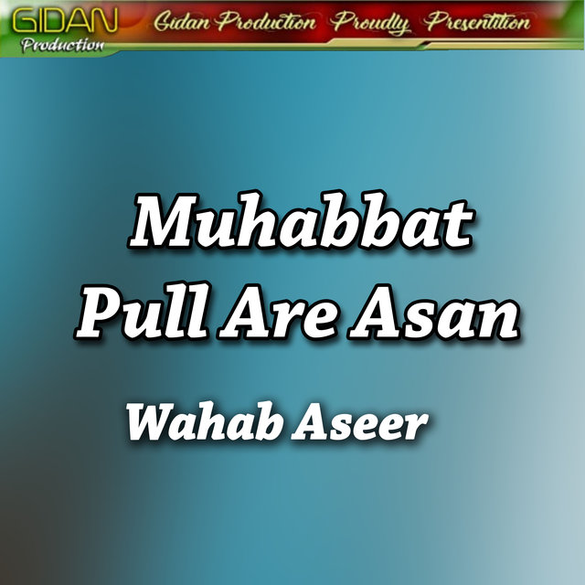 Muhabbat Pull Are Asan - Single