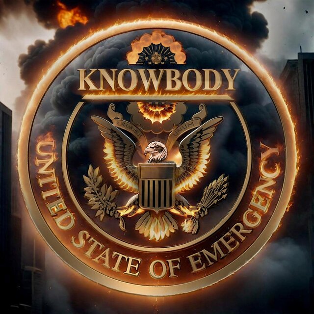 United State of Emergency