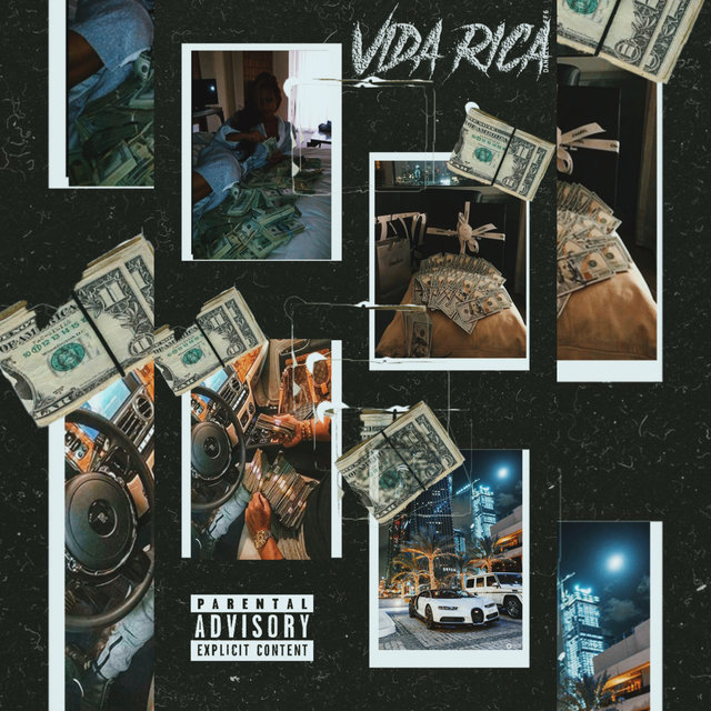 Vida Rica