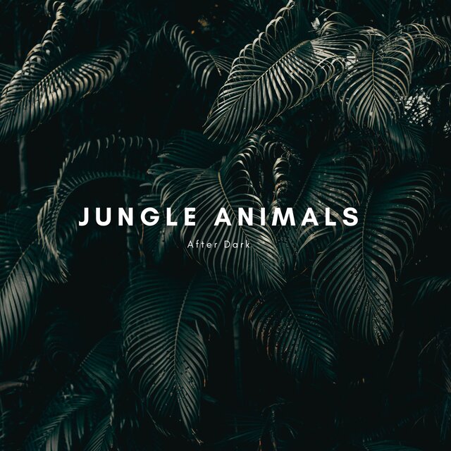 Jungle Animals After Dark
