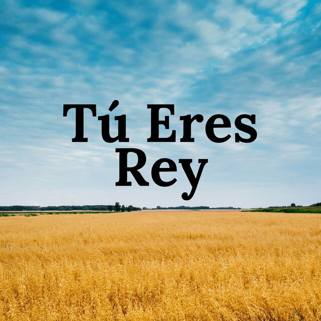 Tú Eres Rey (Piano Instrumental)