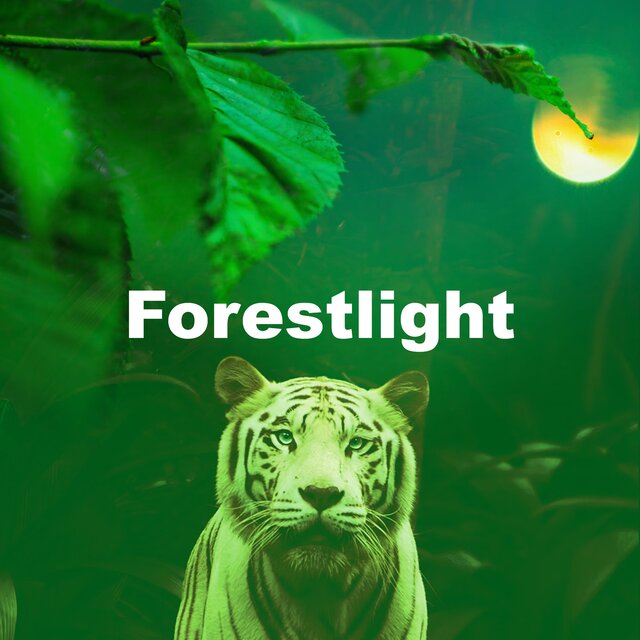 Forestlight