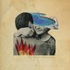 Cover art for album The Embers Of Time by Josh Rouse