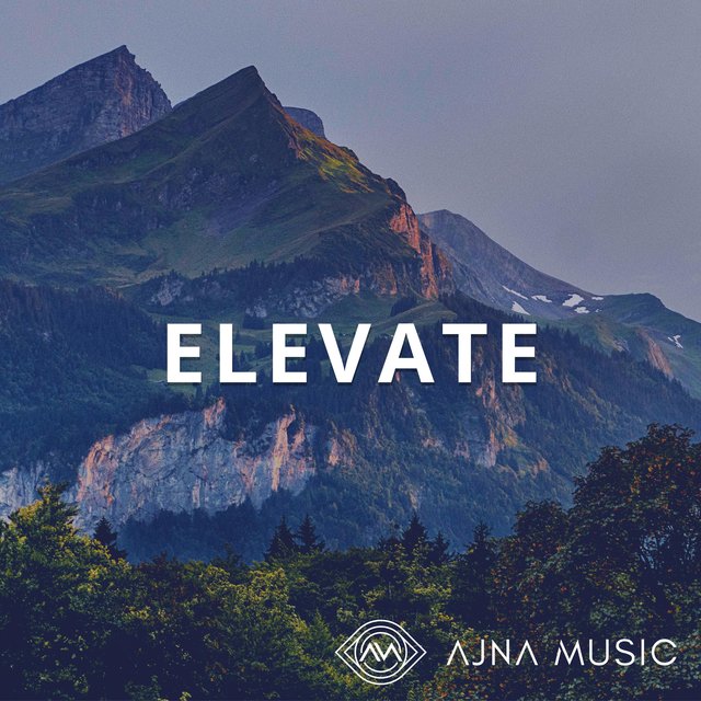 Elevate