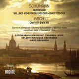 Vom Pagen und der Königstochter, Op. 140: Ballade III. Den Runenstein in der Sommernacht