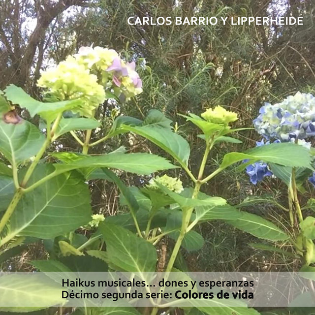 Haikus Musicales... Dones y Esperanzas. Décimo Segunda Serie: Colores de Vida