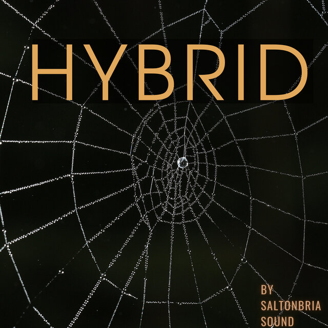 Hybrid