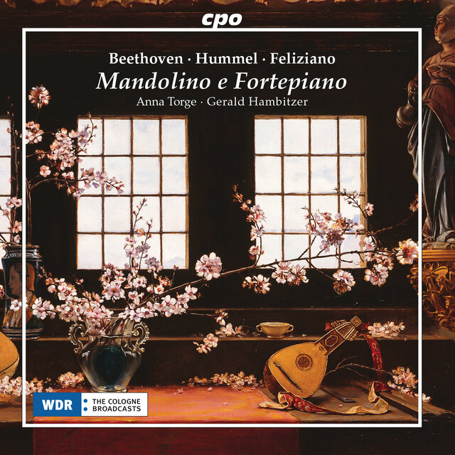 Mandolino e fortepiano