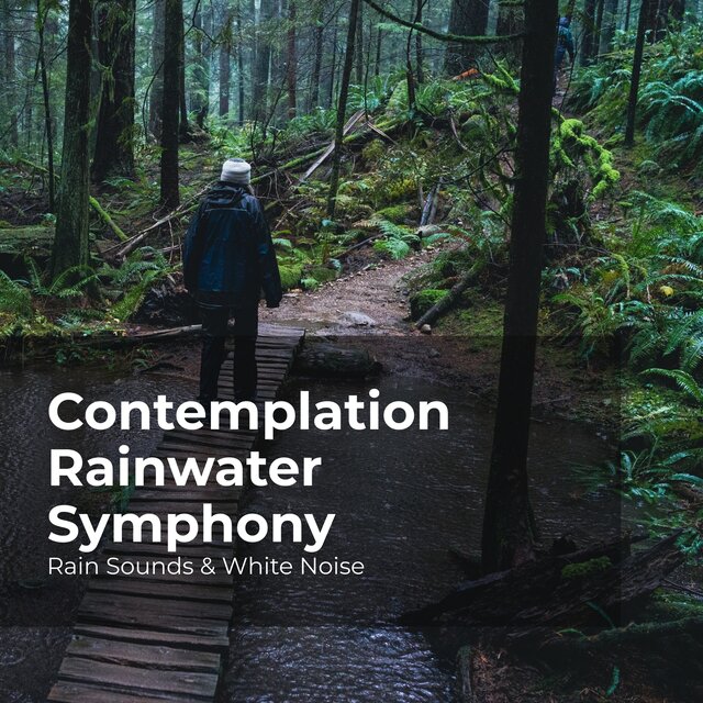 Contemplation Rainwater Symphony by Rain Sounds & White Noise on TIDAL