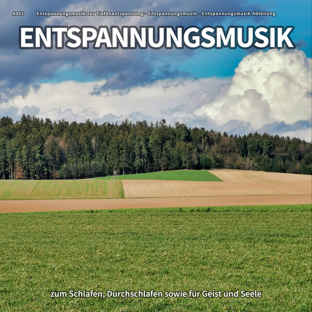 #001 Entspannungsmusik zum Schlafen, Durchschlafen sowie für Geist und Seele