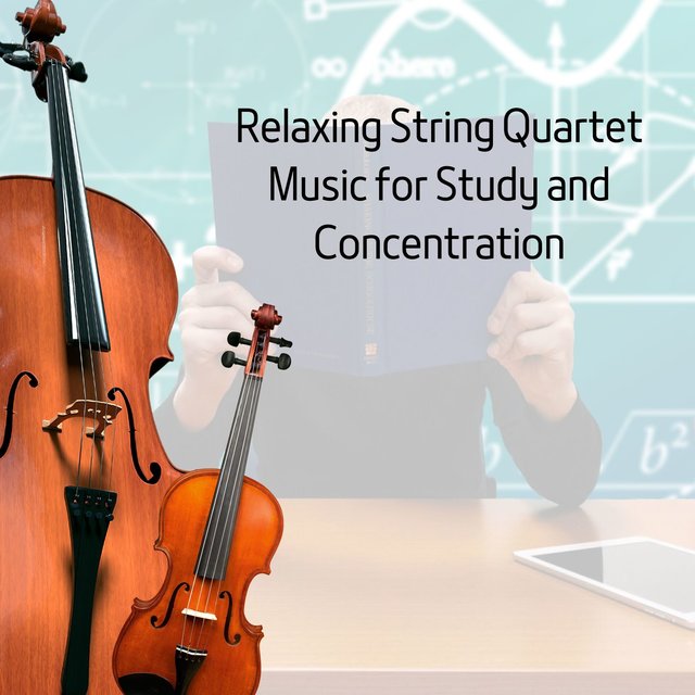 Relaxing String Quartet Music for Study and Concentration