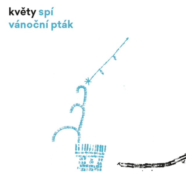 Spí Vánoční Pták