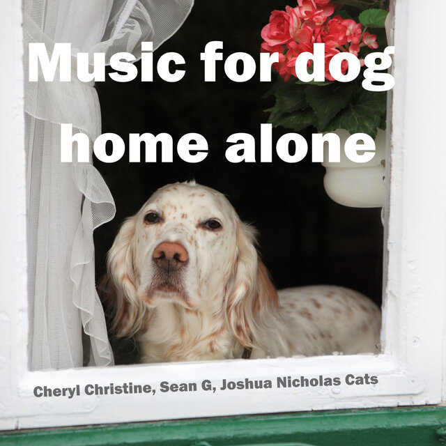 Music for dog home alone