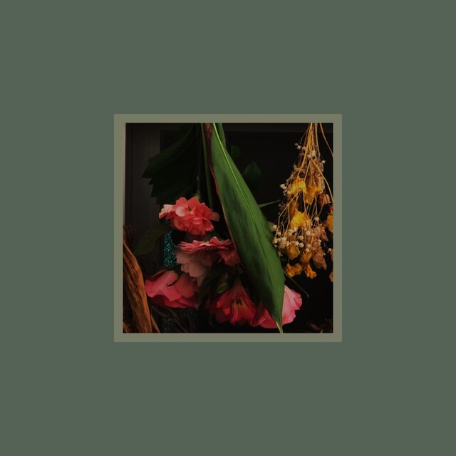 Ghost Flower