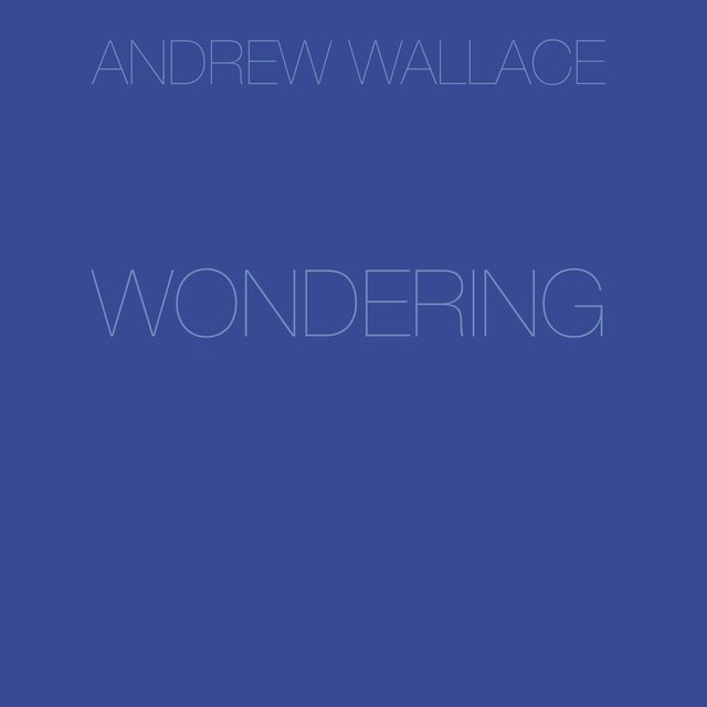 Wondering