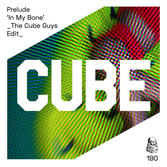 In My Bone (The Cube Guys Edit)