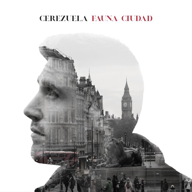 Fauna Ciudad