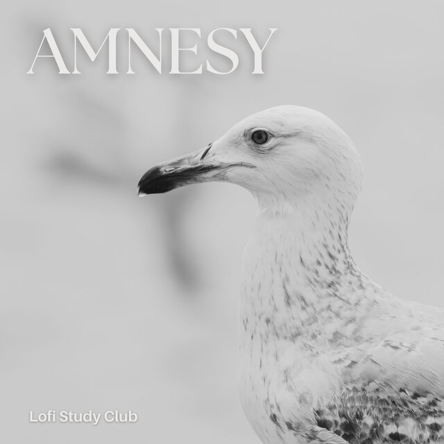 Amnesy