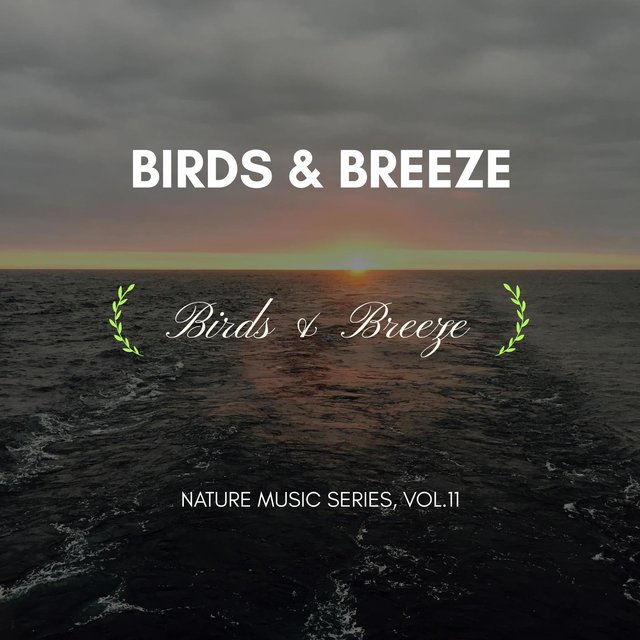 Birds & Breeze - Nature Music Series, Vol.11