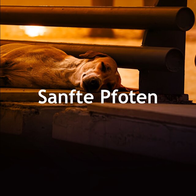 Sanfte Pfoten
