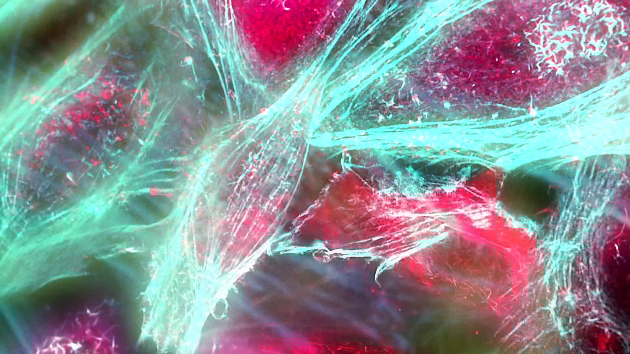 From Chaos (Between Worlds)