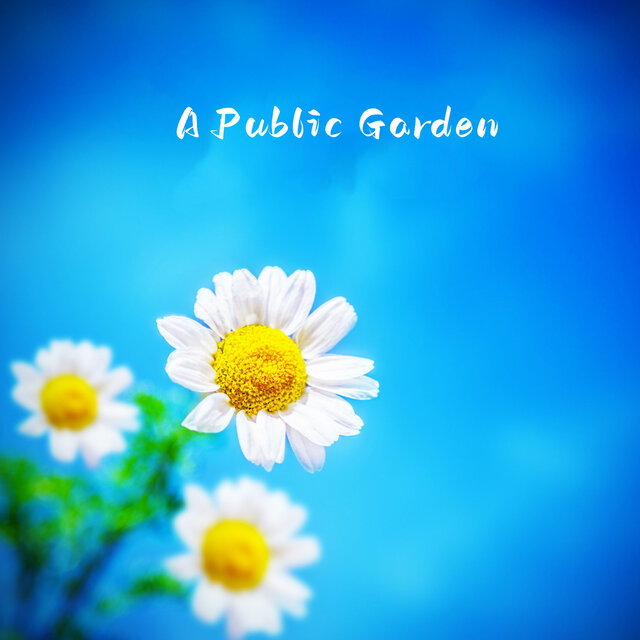 A Public Garden