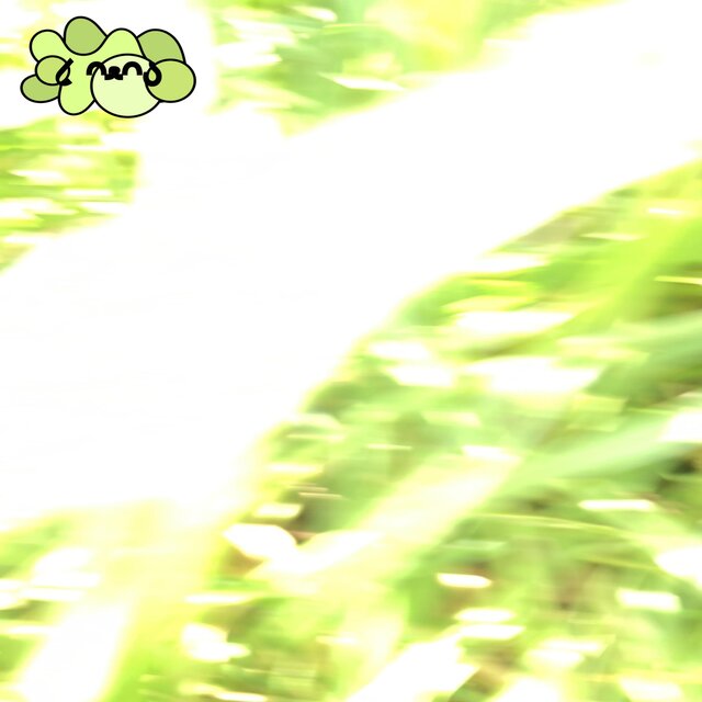 PUPPY'S DREAMS