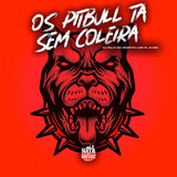 Os Pitbull Ta Sem Coleira