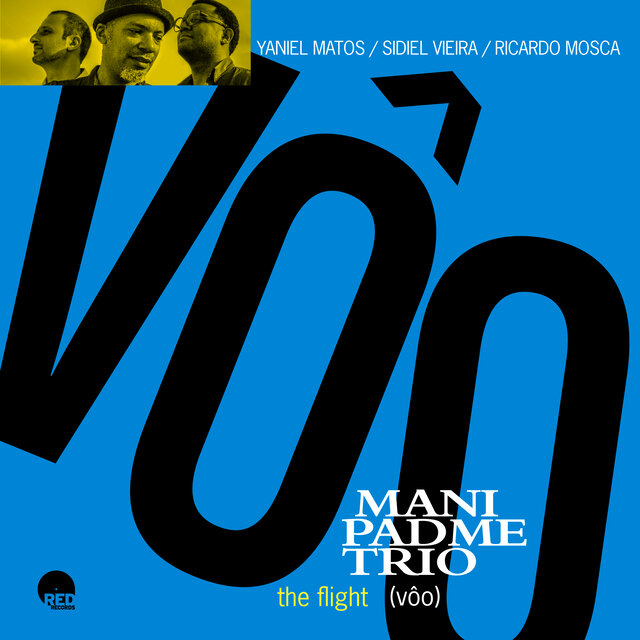 The Flight (Vôo)