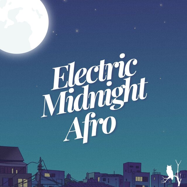 Electric Midnight Afro