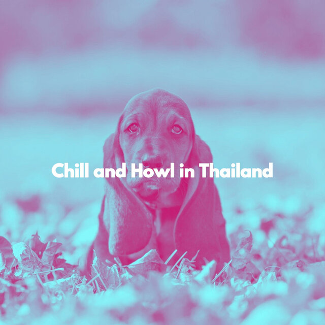 Chill and Howl in Thailand