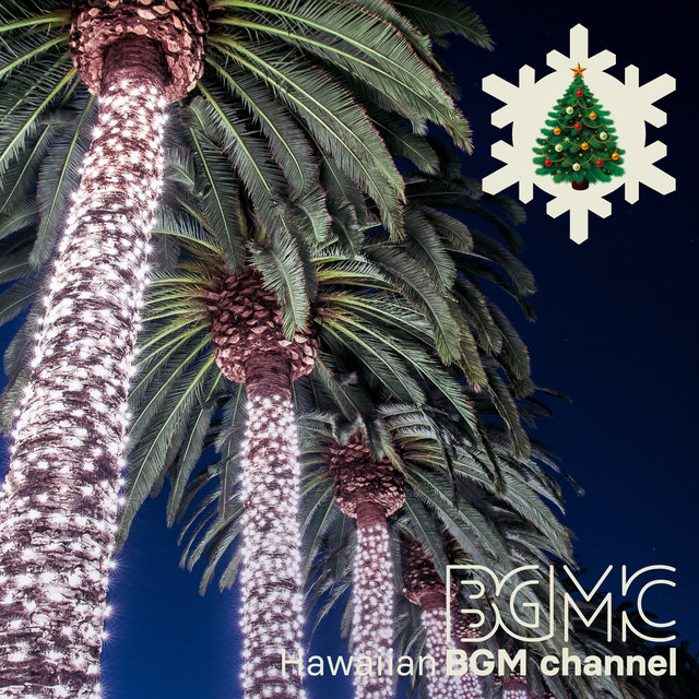 Christmas Songs (Hawaiian Guitar)