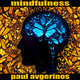Cover art for album Mindfulness by Paul Avgerinos