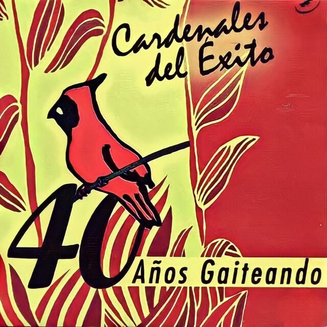 40 Años Gaiteando