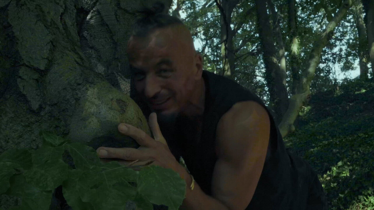 Mein Freund der Baum