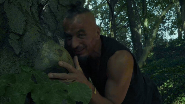 Mein Freund der Baum