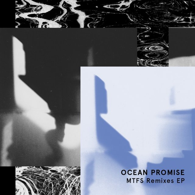 Monitoring The Future Survey Remixes EP