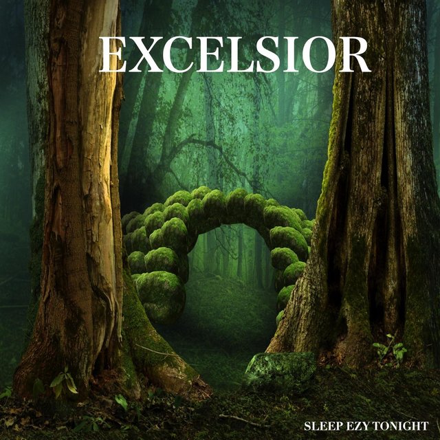 Excelsior
