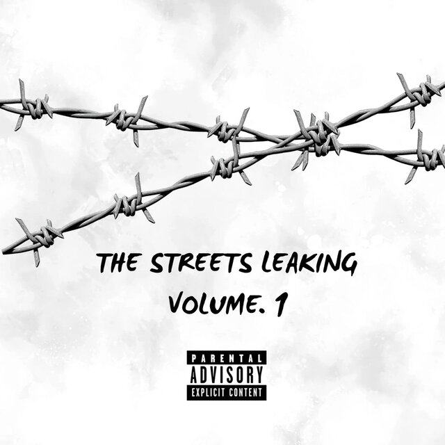 The Streets Leaking Vol 1