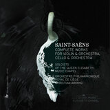 Violin Concerto No. 1 in A Major, Op. 20: Allegro - Andante espressivo - Tempo primo