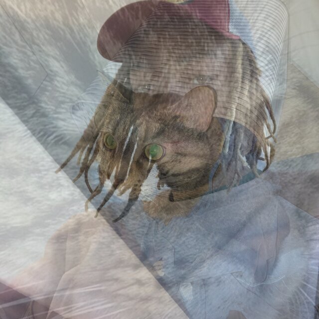 Yung Cat God 3