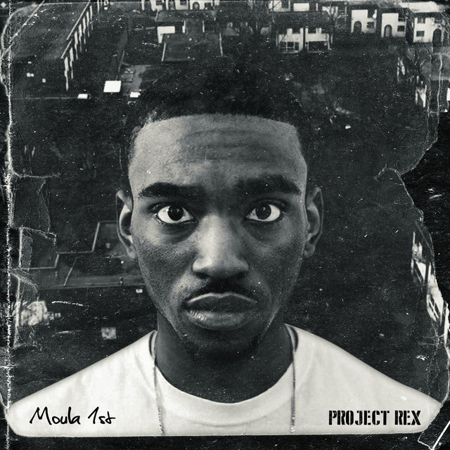 Project Rex