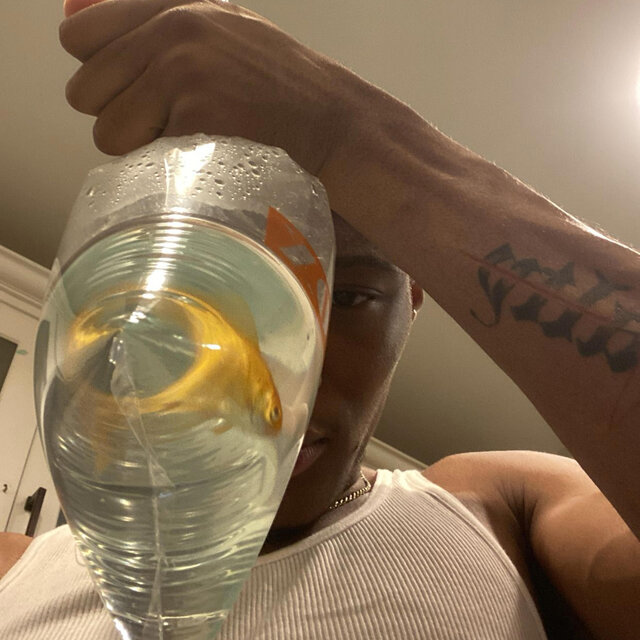 TD3
